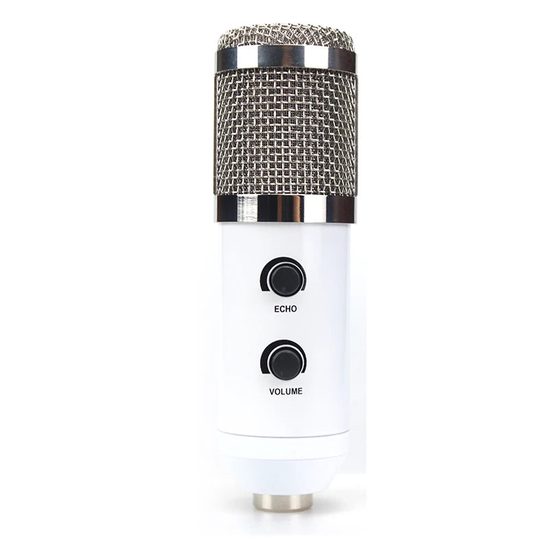 Factory Super Quality Recording Studio Equipment Microphone Economical Home Studio Microphone