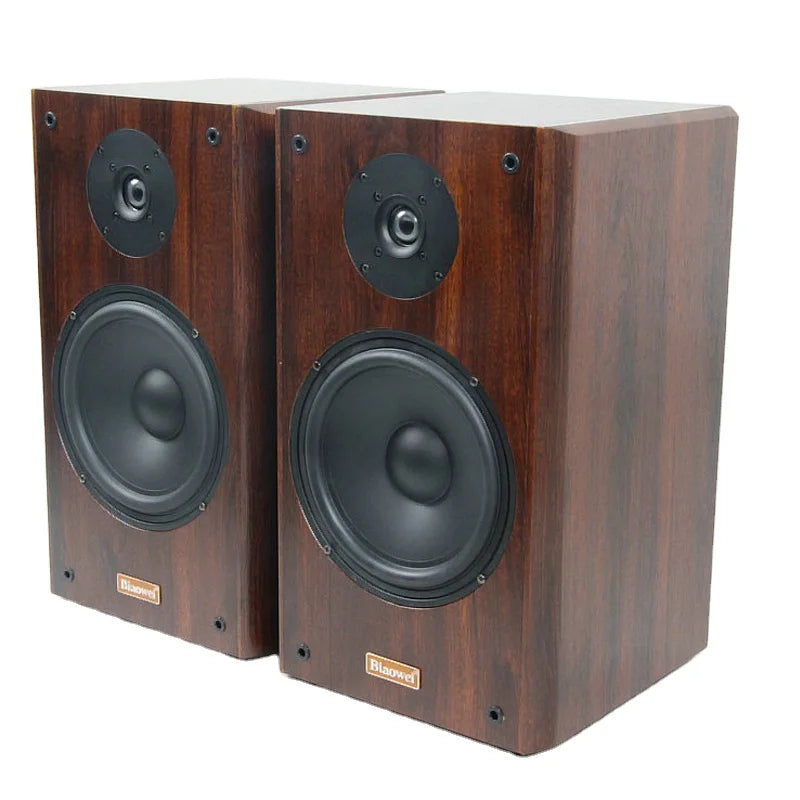 100W 5 Inch Bookshelf Speakers 6ohm Monitor Passive Fever Hifi Surround High Fidelity Home Audio Music Sound Amplifiers Speaker