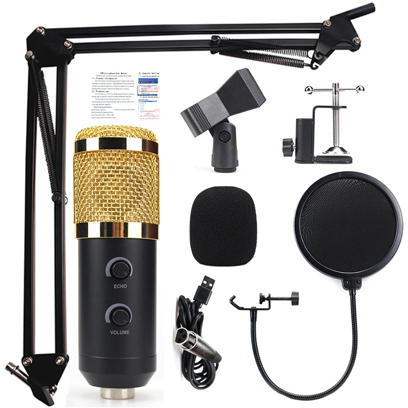 Factory Super Quality Recording Studio Equipment Microphone Economical Home Studio Microphone