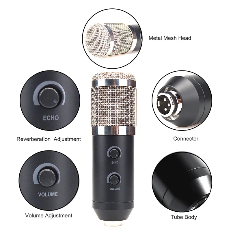 Factory Super Quality Recording Studio Equipment Microphone Economical Home Studio Microphone