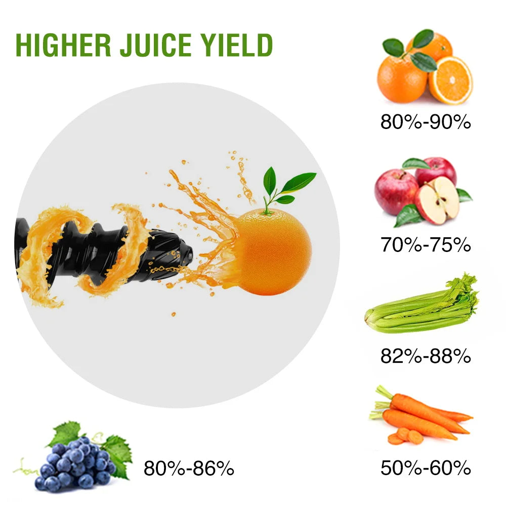 Slow Masticating Cold Press Juicer, Reverse Function Quiet Easy Clean High Yield Juice Extractor for Home Fruit Vegetable