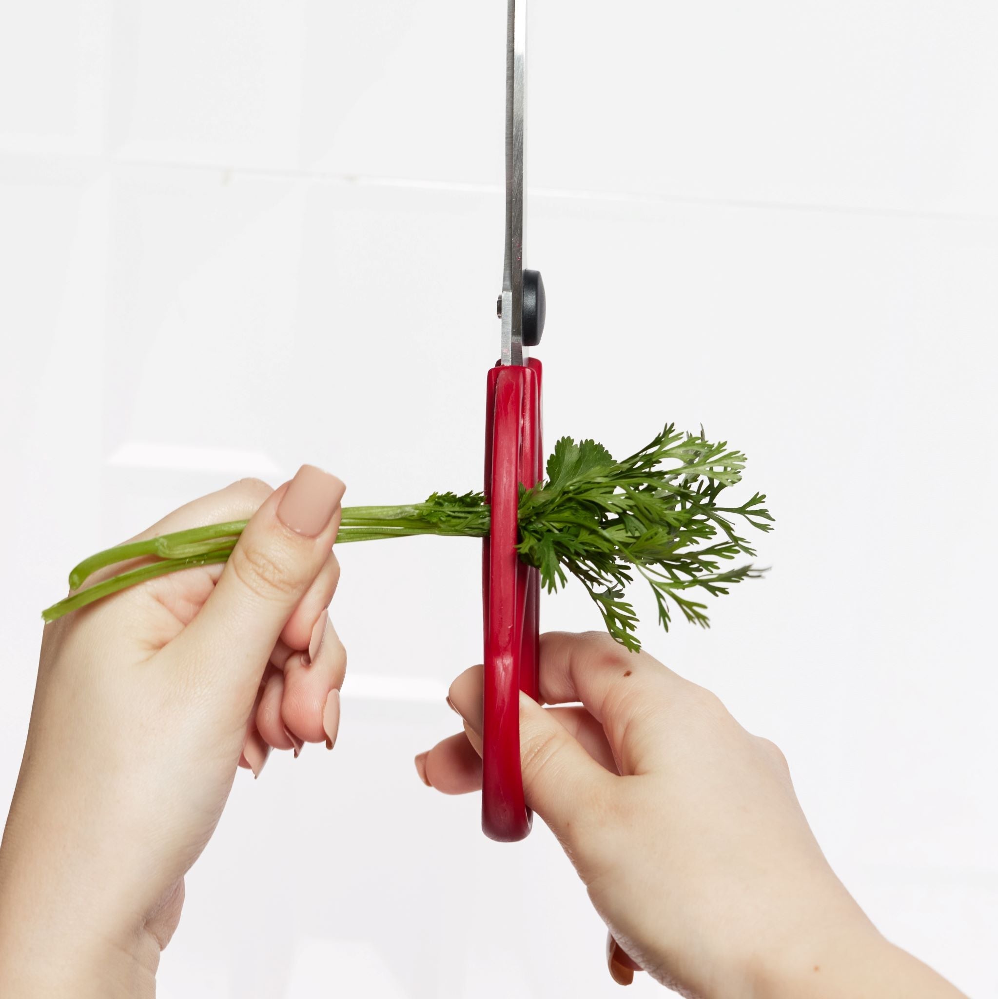 Strip-n-Snip™