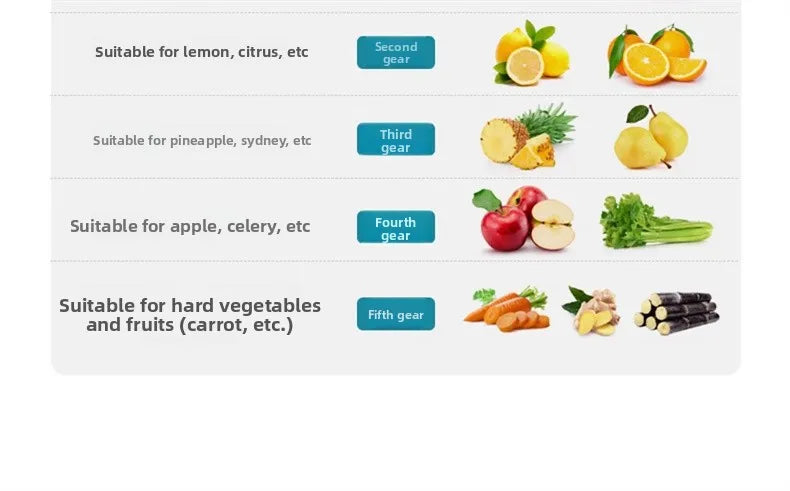 Juicer Machine, 1250W High-Speed Blender for Fruits/Vegetables, BPA-Free 304 Stainless Steel, Easy Clean & Quiet, Household