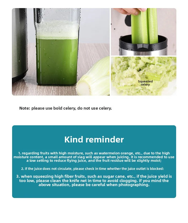 Juicer Machine, 1250W High-Speed Blender for Fruits/Vegetables, BPA-Free 304 Stainless Steel, Easy Clean & Quiet, Household