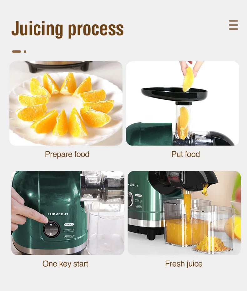 Slow Masticating Cold Press Juicer, Reverse Function Quiet Easy Clean High Yield Juice Extractor for Home Fruit Vegetable