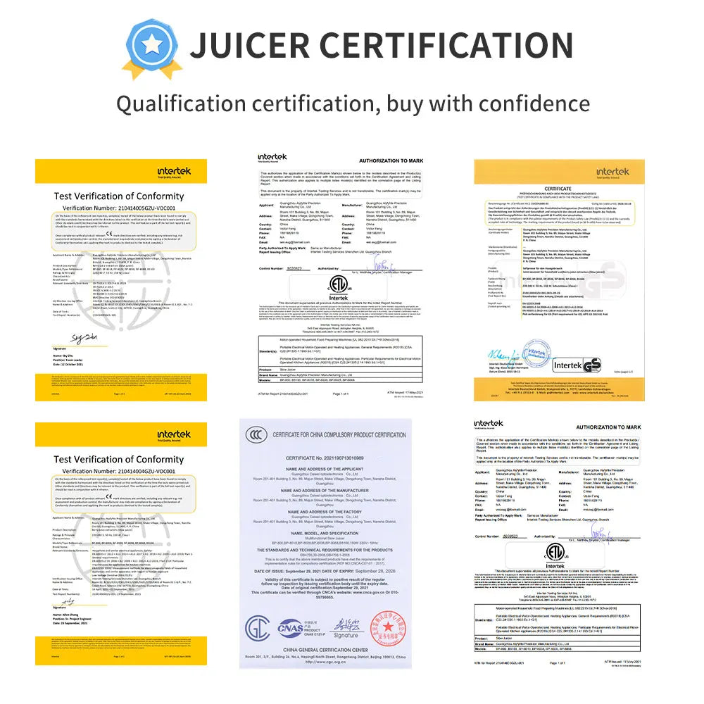 Slow Masticating Cold Press Juicer, Reverse Function Quiet Easy Clean High Yield Juice Extractor for Home Fruit Vegetable