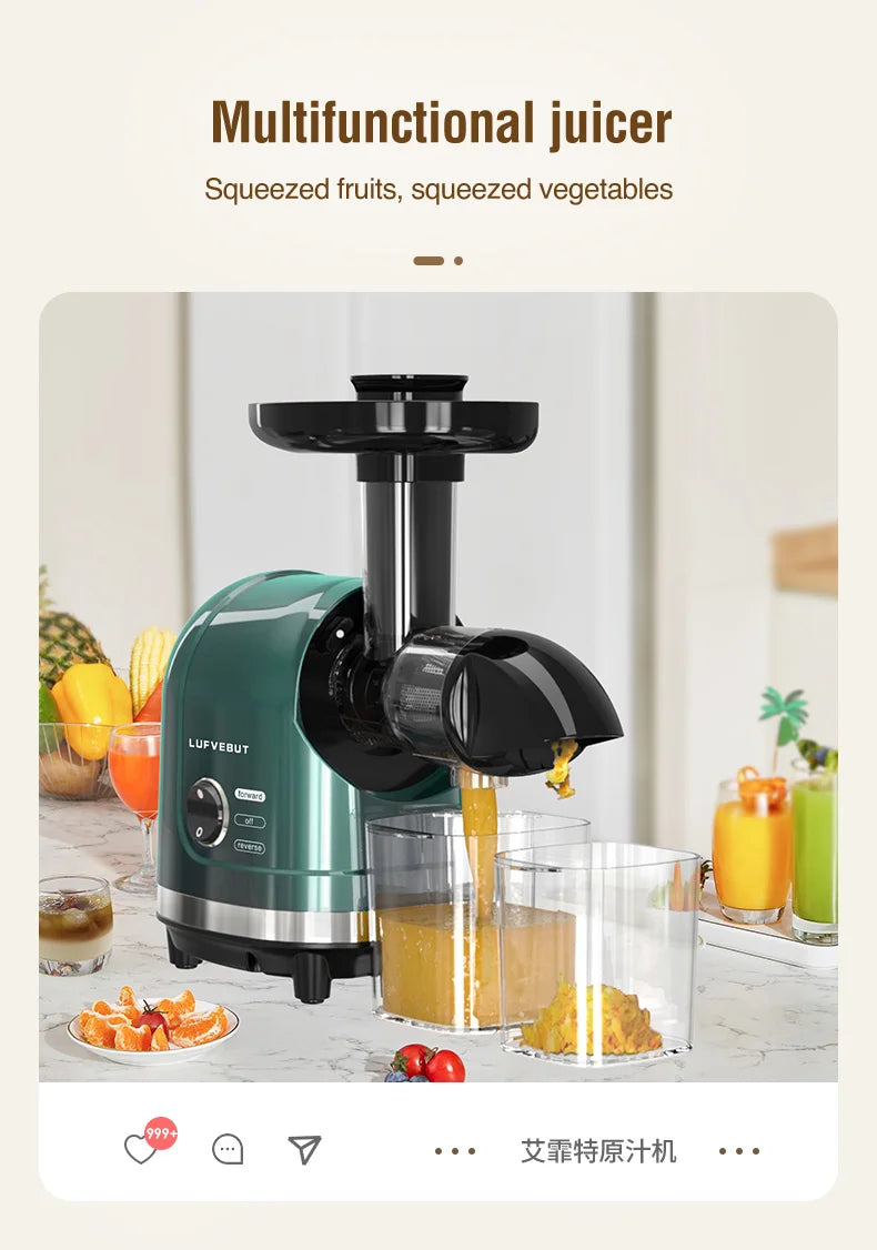 Slow Masticating Cold Press Juicer, Reverse Function Quiet Easy Clean High Yield Juice Extractor for Home Fruit Vegetable