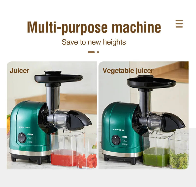 Slow Masticating Cold Press Juicer, Reverse Function Quiet Easy Clean High Yield Juice Extractor for Home Fruit Vegetable