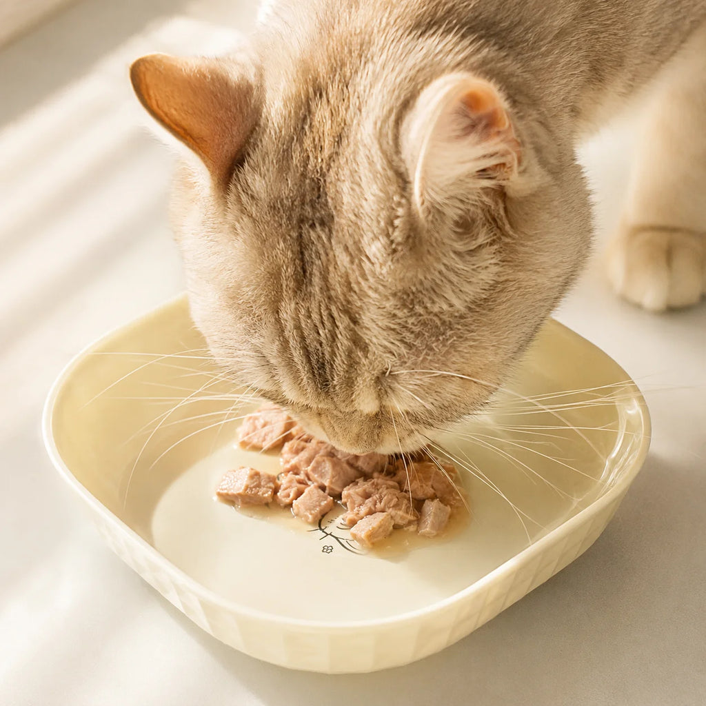 6pcs Cat Bowls Set - Whisker Fatigue Relief Shallow Dishes + 5.5in Wet Food Plates, Anti-Tip Pet Dishes for Indoor Cats